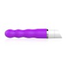 Ronty Class Vibrator
