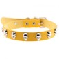 Skull Scalp Collar