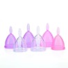 Silicone Folding Period Cup
