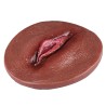 Realistic Cosplay Silicone Fake Vagina Pad - B