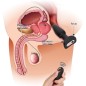 Thrusting &amp; Wireless Anal Vibrator