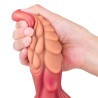 Unicorn Lifelike Silicone Dildo