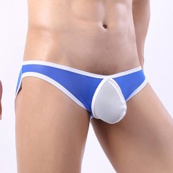 New Arrival Low-rice Stretchy Mesh Panty