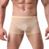 Men Naked Feeling Comfortable Ice Silk Boxer Briefs