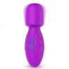 Power Magic Wand Vibrator