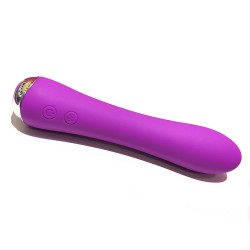 Nicola Heating Vibrator