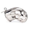 Hollow Out Chastity Cage With Bent Ring