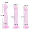 Crystal Suction Anal Dildo