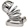 Chastity Bend Ring Hide Looker Cock Cage