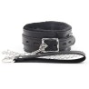 Fur Lockable SM Collar