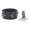 Fur Lockable SM Collar