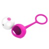 Wireless One Ball Benwa Ball