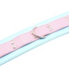 Blue &amp; Pink Collars with Lead