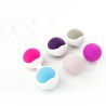 Exchangeable Silicone Kegal Balls Kit - 6 Pcs