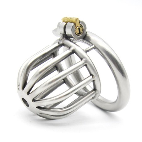 Asylum Chastity Device