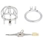 The Pen Deluxe Stainless Steel Locking Chastity Cage