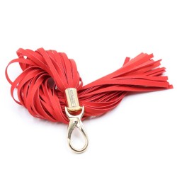 Hook Handle Whip