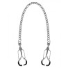 Nipple Clamps with Removable Chain