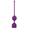 Cat Silicone Benwa Balls