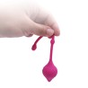Vaginal Ben Wa Balls Tight Exercise Kit