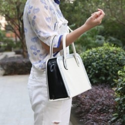 Handbag Remote Sex Machine