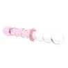 Double Head Glass Butt Plug