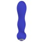 Prettylove Brave Prostate &amp; Perineum Stimulator