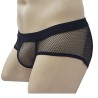 See-through Breathable Mesh Panty Sexy Underwear