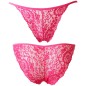 Ladies See-through Lace Briefs Sexy Underwear