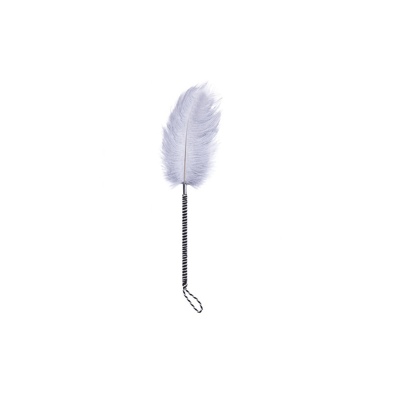 Playful Feathers Tickler