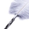 Playful Feathers Tickler
