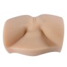 Duchess Solid Hip Ass Mastion
