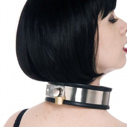 Rapture Steel Band Collar With Leash